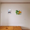 거기벵디 이미지