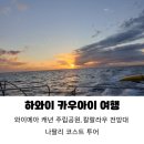 하와이 여행 카우아이 섬 투어 추천 / 나팔리 해안 투어 와 와이메아 캐년 주립공원, 칼랄라우 전망대 후기