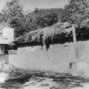 박정희로-6 이미지