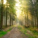 공원빌라 이미지