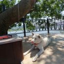 삼랑진팽나무펜션 이미지