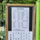 대천 성주계곡 평상대여 큰바위쉼터 | 아빠돈내산 후기