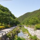 도심건강길 2길 이미지