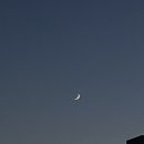 마마우동 네이버블로그
