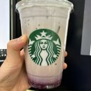 모니카 문 이미지