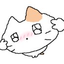 디엘이엔씨 주식회사 이미지