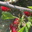 또박이농장 이미지