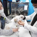 구민동물병원 이미지