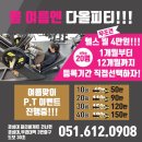 다올피티 이미지