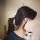솜소밍 이미지