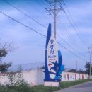 힐링우드 이미지