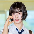 푸른산호초 이미지