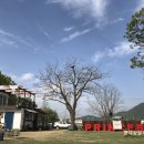 공주 프린세스 캠핑장 이미지