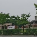 박형우동물병원 | 란나 성내동 박형우동물병원 귀덮힌개귀염증치료 모시...백휘트니스 /모시마스크 착용 후기 세탁손질방법