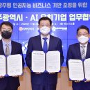 파인트리 이미지