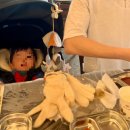 한일수산 앞 | 안산 대부도 대하구이 맛집 정일수산 내돈내산 솔직후기 유모차 가능