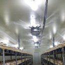 경주버섯 이미지