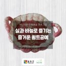 육단리(상)