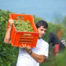 벨라비스타 이미지