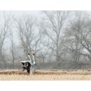 곡간 Daum카페