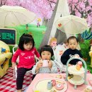 다정다감, 봄 이미지