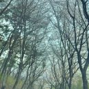 충효농장 이미지