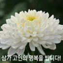 부고 / 신용찬 시인(전 창녕문협 회장) 별세 이미지