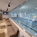 성성파인트리 수영장 이미지