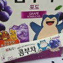 음료수 | 담터 포켓몬 콤부차 포도 🍇 탄산도 적당하고 진짜 음료수같은 솔직후기