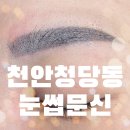 수정 | 천안청당동 눈썹문신 망한 눈썹 커버 성공! 디자인 시크릿 자연스럽게 수정한 후기
