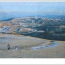 명우목장 이미지