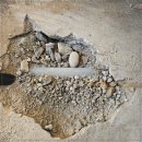 성실기업 이미지