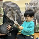 동물친구 - 토끼와 도마뱀 🦎🐰 / 미술 - 종종 걸음 아기 병아리 🐥 이미지