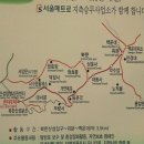 (주)솔로