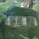 대곡리 암각화 이미지