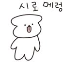 유달동사진관