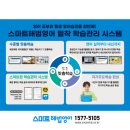화홍초 이미지