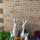 만촌아이숲유치원 이미지