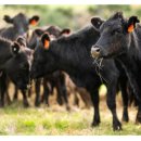 무부농장 이미지