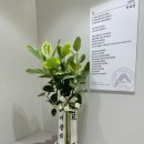 과천성모정신건강의학과의원