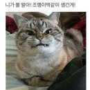 피씨마루 | 9월 1일 요크신 시티에서!!