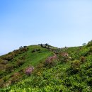 소백산향기나라 이미지