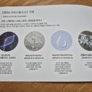 주식회사 다인스