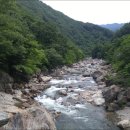 신흥교입구 Daum카페