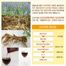 솔티농원 이미지