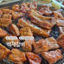 충주 다이브페스티벌 신나게 즐기고, 백제갈비로 맛까지 즐기자![백제갈비에서 왕갈비 먹은 후기]