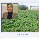 이순자플라워