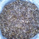 새마을종묘 이미지