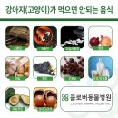 송도 클로버동물병원 이미지