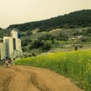 해금강펜션 이미지